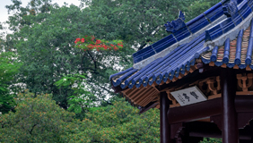 基本展陈