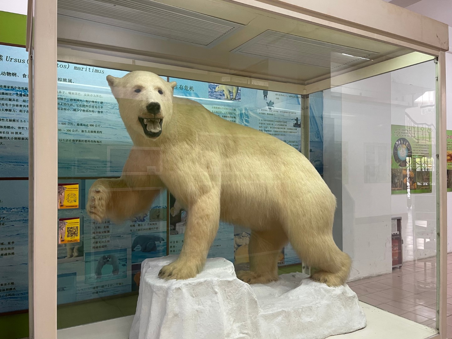 image-20250115160120-1