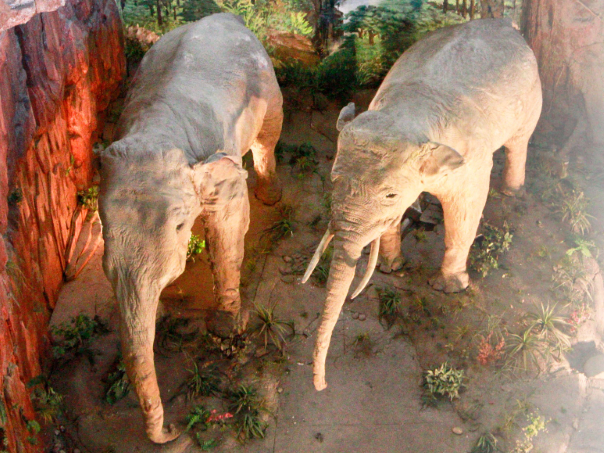 image-20250115160133-2
